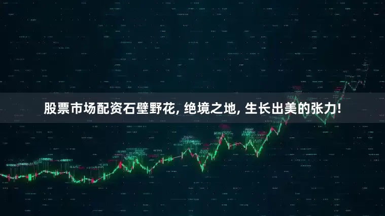 股票市场配资石壁野花, 绝境之地, 生长出美的张力!
