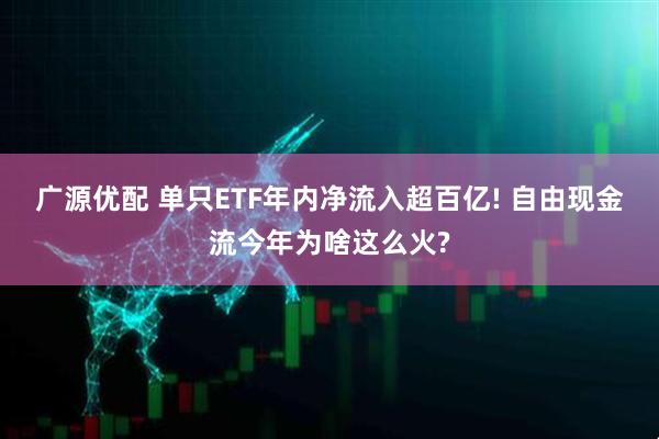 广源优配 单只ETF年内净流入超百亿! 自由现金流今年为啥这么火?